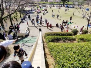 上尾丸山公園（上尾市）