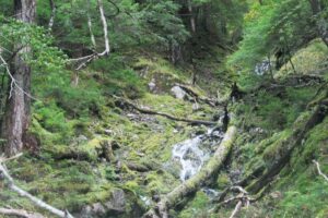 荒川源流点（秩父市）