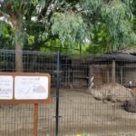 キャンベルタウン野鳥の森・大吉公園（越谷市）