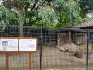 キャンベルタウン野鳥の森