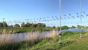 不動橋こいのぼりフェスティバル（越谷市）