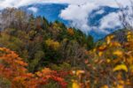 両神山（小鹿野町）日本百名山の紅葉と登山コースの注意点