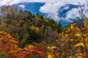 両神山(小鹿野町)日本百名山の紅葉と登山コースの注意点