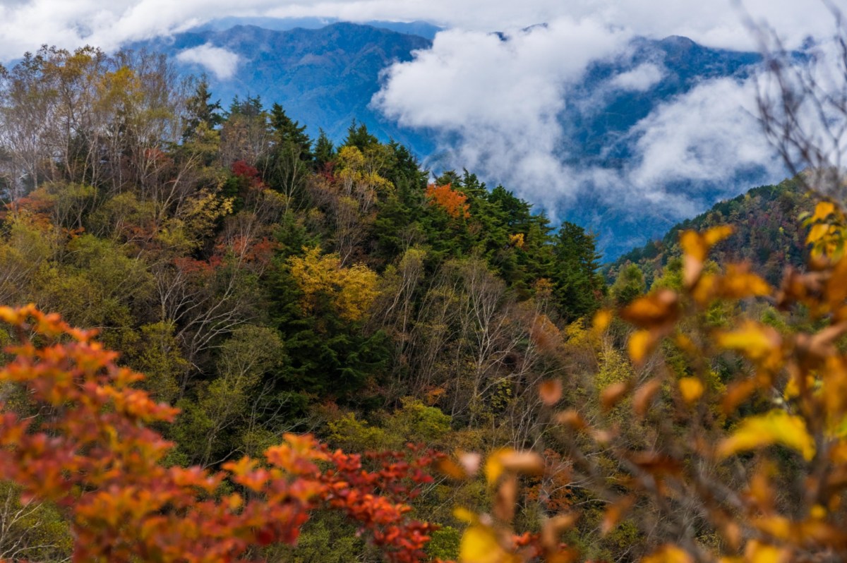 両神山（小鹿野町）日本百名山の紅葉と登山コースの注意点