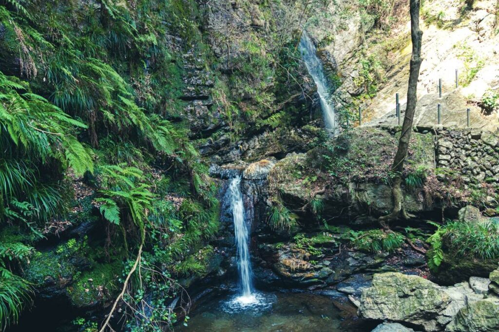 黒山三滝 男滝・女滝