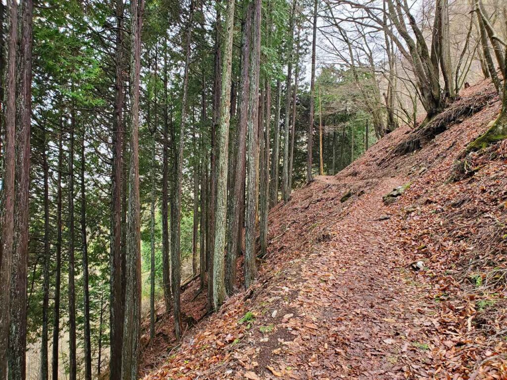 三峯神社の奥宮へ向かう服装のポイント