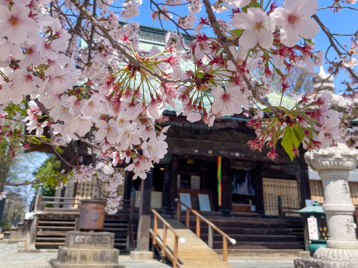 不動ヶ岡不動尊 總願寺（加須市）火渡り式は9月28日｜節分の鬼追い豆まき式