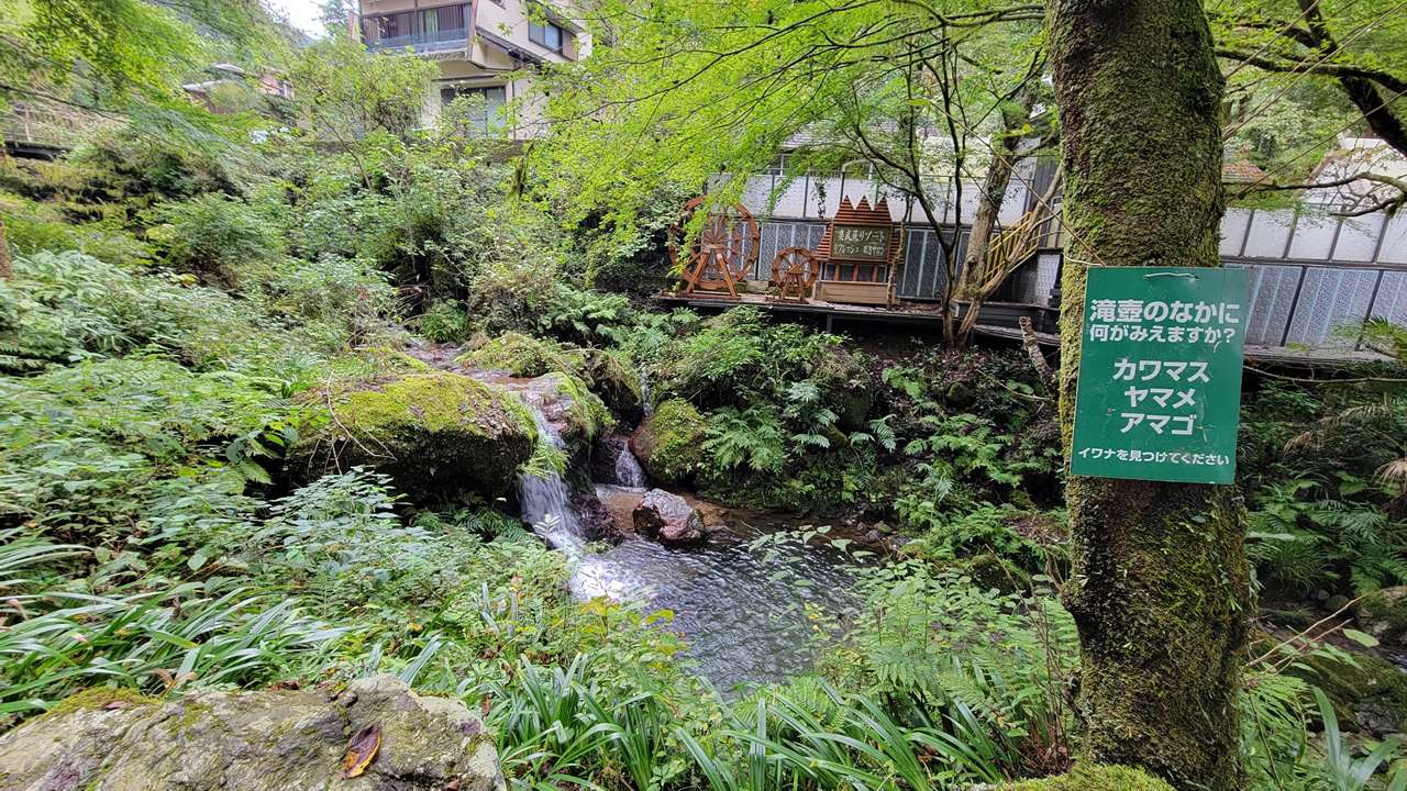 黒山三滝と黒山園で楽しむ自然旅、釣って味わう川魚体験（埼玉県越生町）