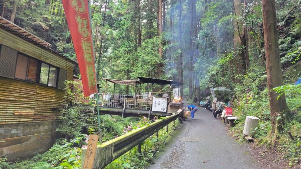 本格的な滝の景観と清流体験、さらに川魚グルメまでそろっています