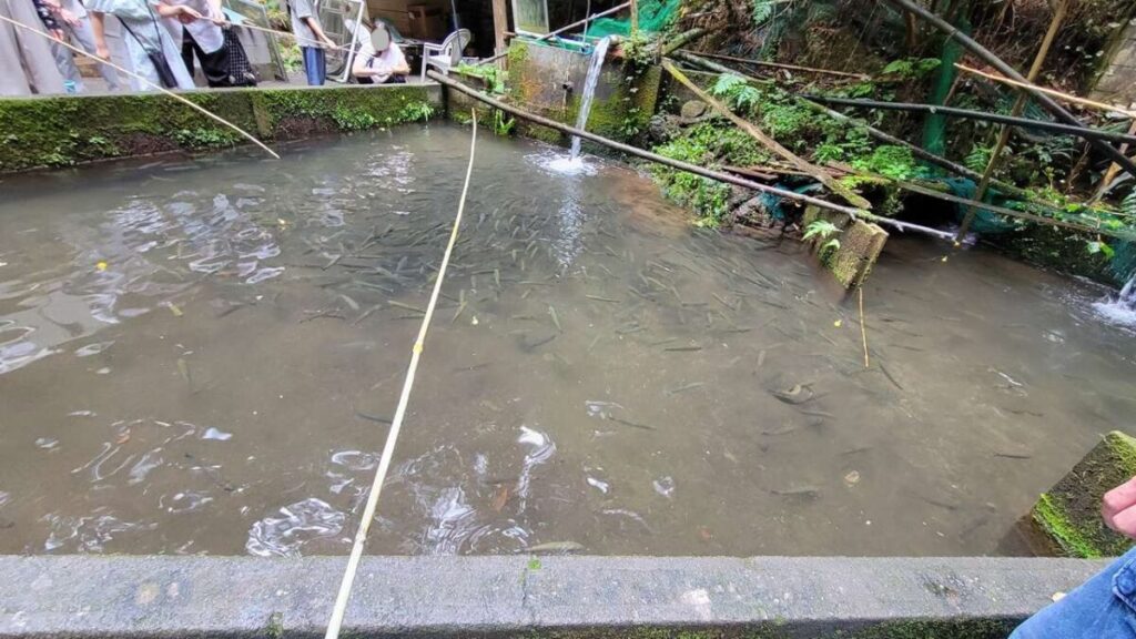 黒山三滝のあとは、黒山園で釣り体験