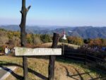 荒川花ハス園 秩父市 埼玉な生活ガイド