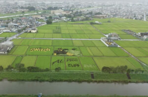 【7〜10月限定】展望台から見る巨大な田んぼアート（埼玉県越谷市）