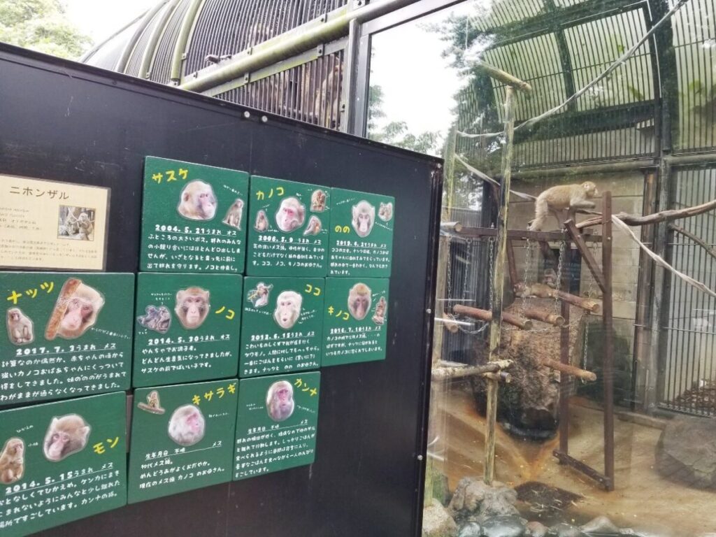 大宮公園でハイエナ・熊・猿・イノシシ・鳥類などいろいろな動物に出会える！
