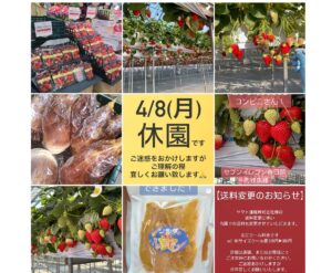 折原果樹園（春日部市）