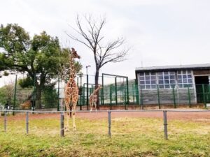 埼玉県こども動物自然公園