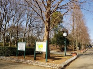 そうか公園・草加公園（草加市）