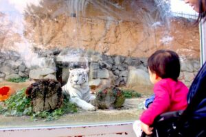 東武動物公園（宮代町）