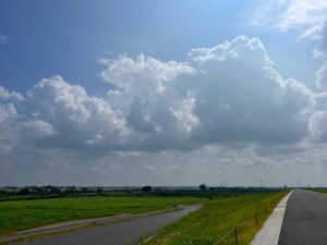 加須利根川河川敷緑地公園の菜の花・コスモス公園【工事中】（加須市）