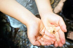 日本の里　風布館（寄居町）
